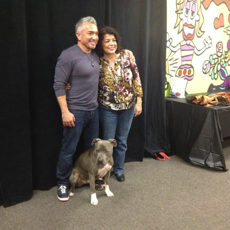 HITN NatGeo and Fox Partnership