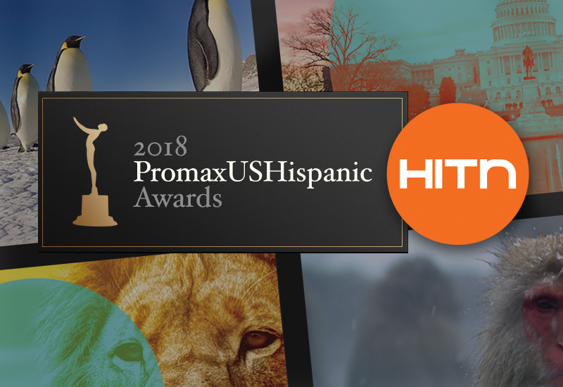 HITN Nominated for 2018 Promax
