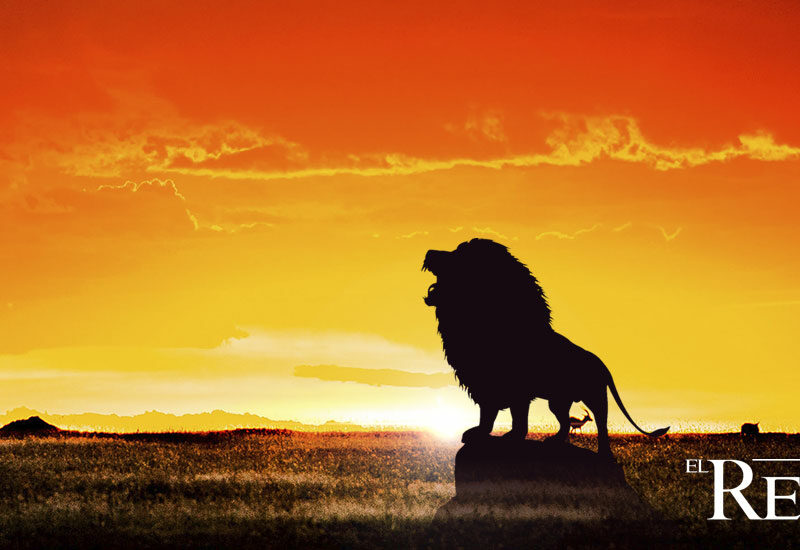 Concurso el Reino del León por HITN