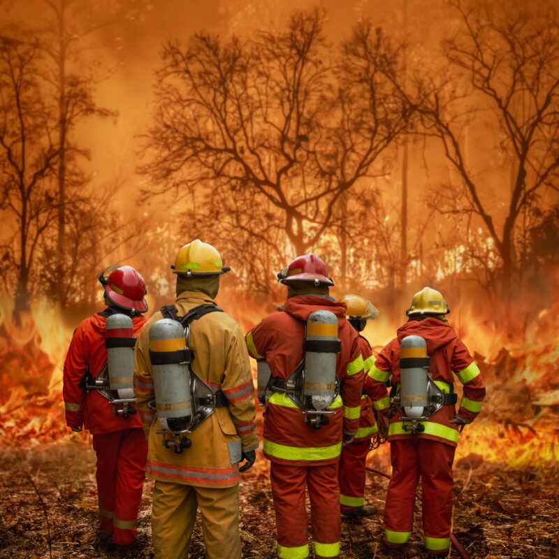 Firefighters team battle a wildfire