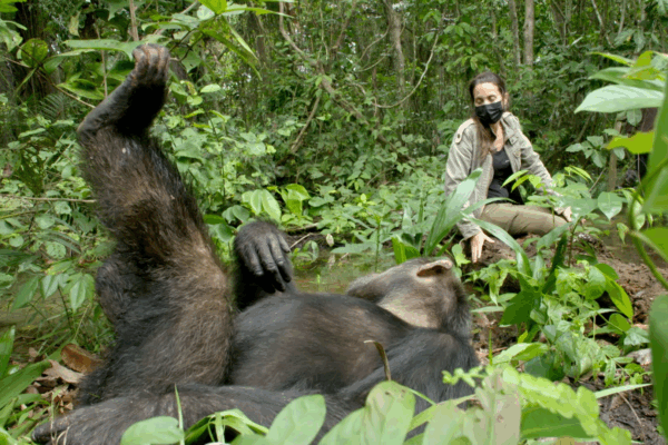 Jane Goodall Marathon 3
