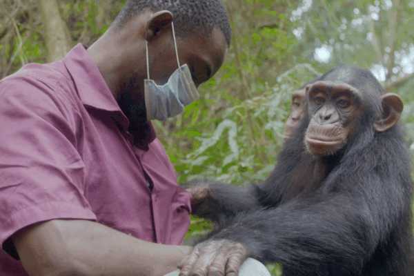 Jane Goodall Marathon 4