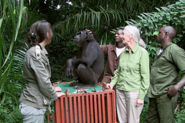 Jane Goodall Marathon 6